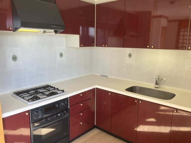 プレイスカサレリアのキッチン