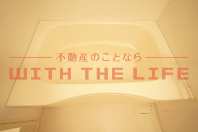 Ｃａｓｔｌｅ城南（キャッスル城南）【10,000円キャッシュバック対象物件】の浴室|きれいなお風呂です