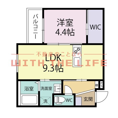 BRAVEBASE HAL（ブレイブベースハル）【キャンペーン対象物件】の間取り
