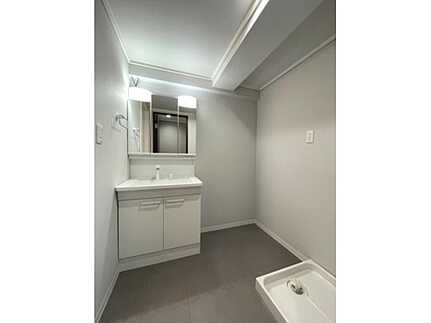 サンライズ東雲B棟(JS)の独立洗面台