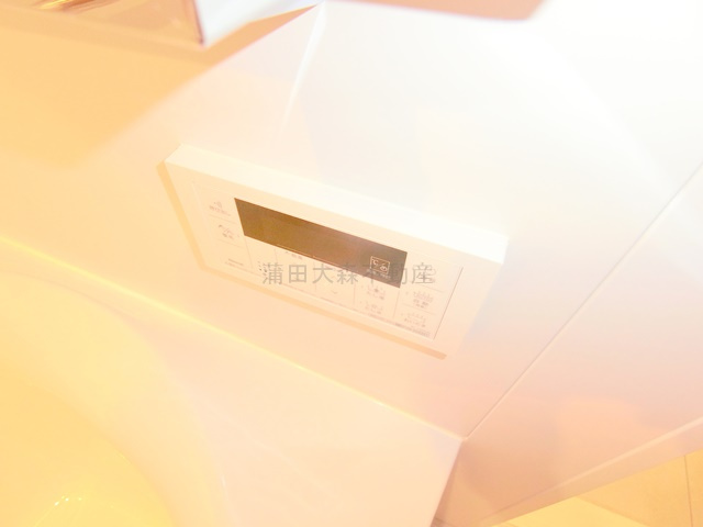 ミリアレジデンス西蒲田の設備