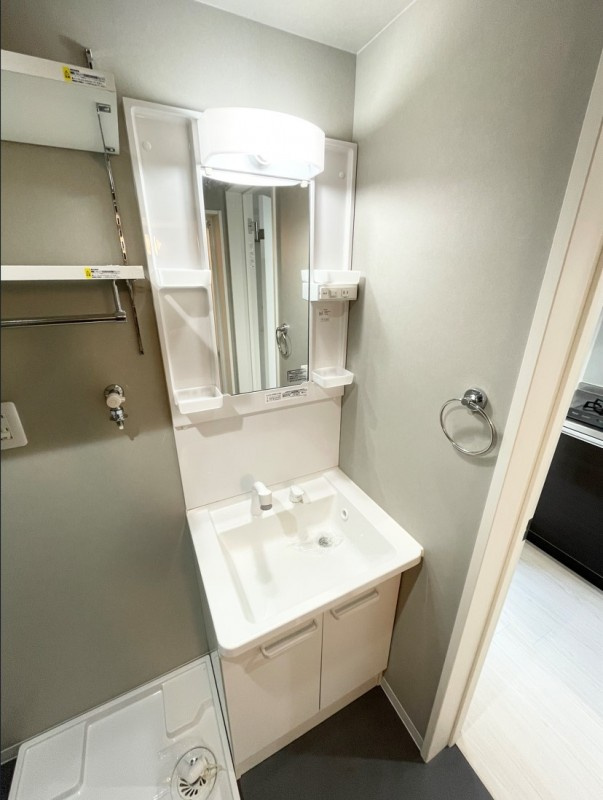 メゾン風月の洗面所