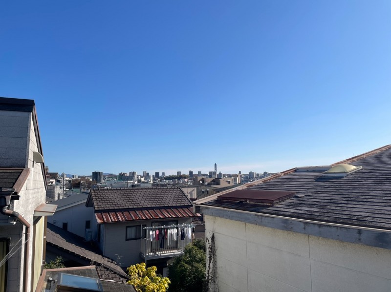 グレーシアのその他