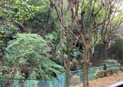 【展望】 | ル・アール高尾エグザフォート | 眺望の良さを楽しめるダイニングキッチンで家族団らんの時間を過ごしてはいかがでしょうか。バルコニーから見える景色を家族で眺める時間は、時間が経つのを忘れてしまいそうですね。是非、現地を見に行きましょう！