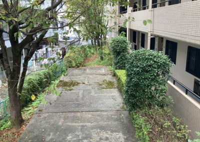 【中庭】 | ル・アール高尾エグザフォート | 中庭（パティオ）とは、一つの建築物の内部に設けられた、壁などで囲われている庭のことを指します。コの字型、ロの字型が主流ですが、L字型の中庭もあります。最近では、インテリア性の高さからも人気があります。