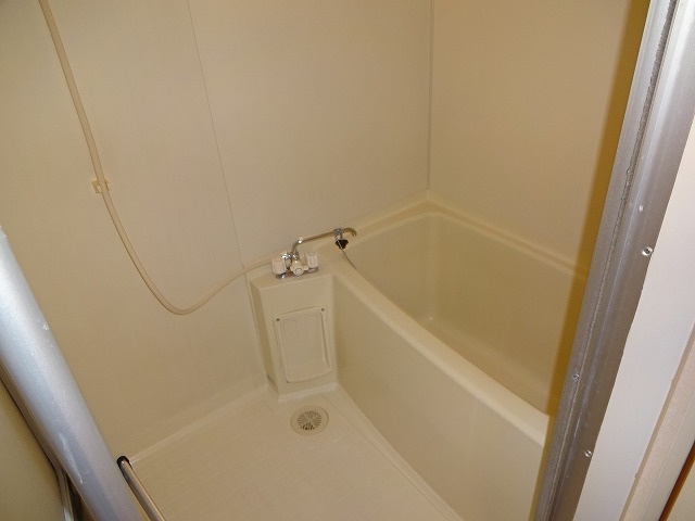 シャトレー水村の浴室