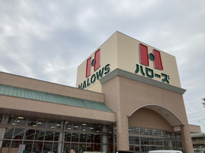 【周辺】 | ロイヤルパレス林Ⅰ