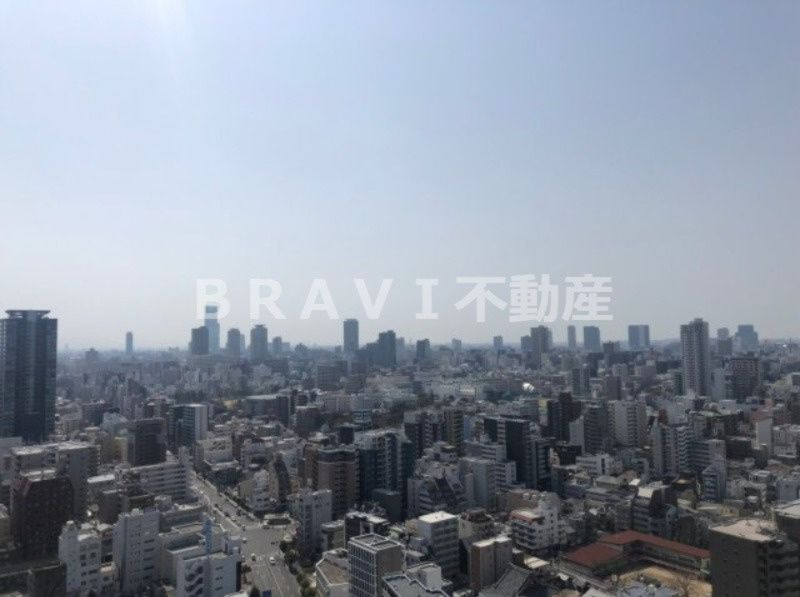 プラネ・ルネスプリングスタワー大阪 BRAVI不動産の展望
