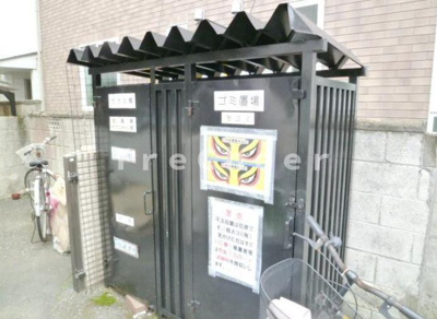 【その他】 | アカシアの木