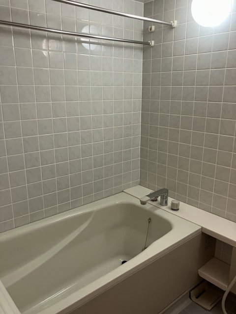 プレイスカサレリアの浴室