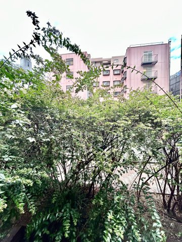 ベストレジデンス江坂A棟の展望