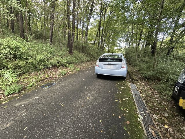 自然豊かな別荘♪那須町高久丙ロフト付き♪の前面道路含む現地写真|前面道路含む現地写真です