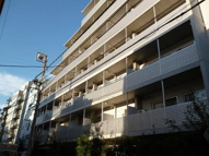 Ｇｒａｃｅ　Ｃｏｕｒｔ　Ｍｅｇｕｒｏの画像