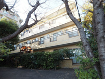 ポーラスターの画像