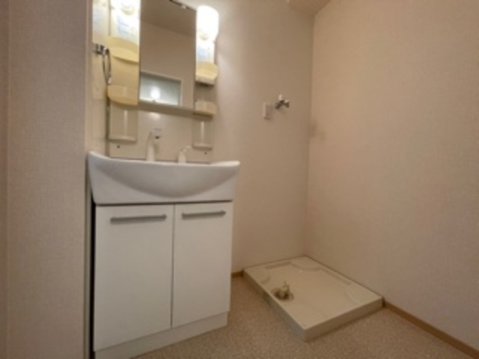 サニーハウス応時の洗面所