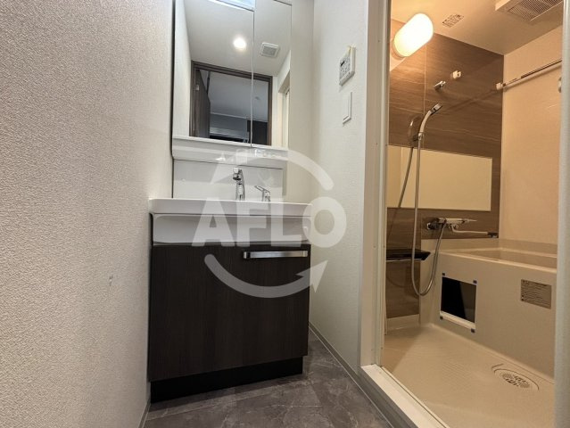 プレサンス野江内代ペルティエ　内代小学校区の洗面所|プレサンス野江内代ペルティエ　洗面所