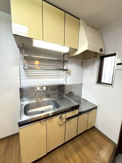 パルデンス泉中央のキッチン