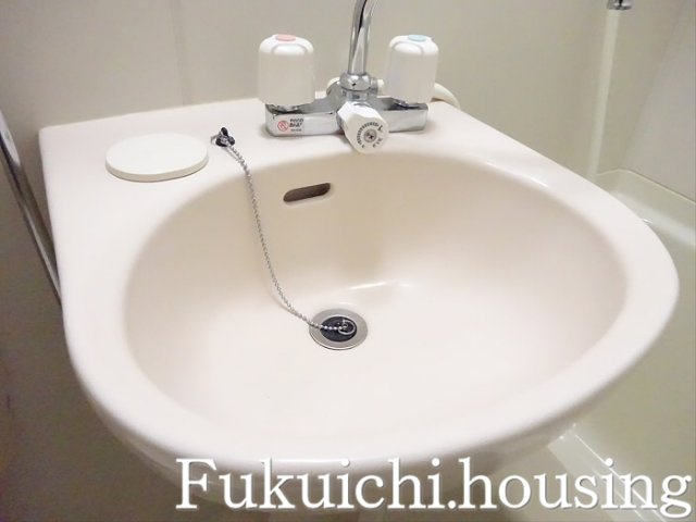 プリンセスコート赤堤の洗面所