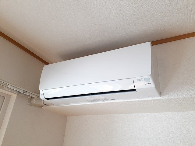 カームリーのその他