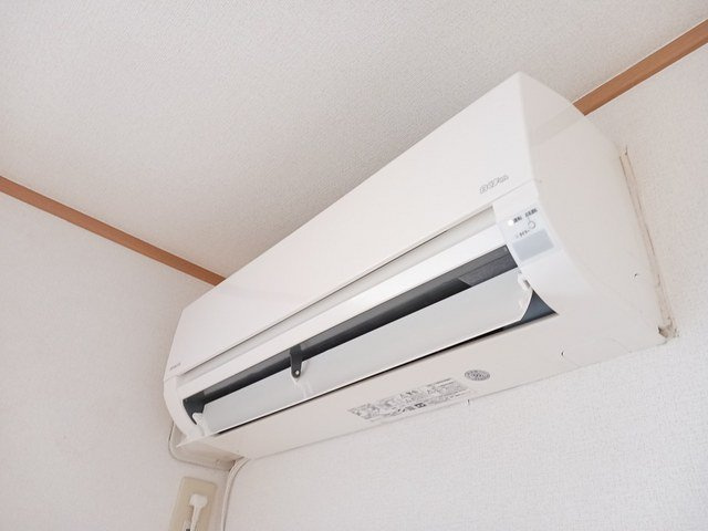 カームリーのその他