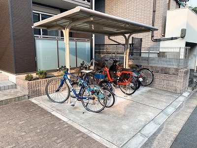 レオネクストルシェリアのその他