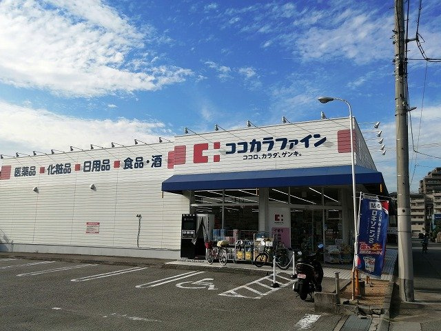 レオネクストルシェリアの周辺