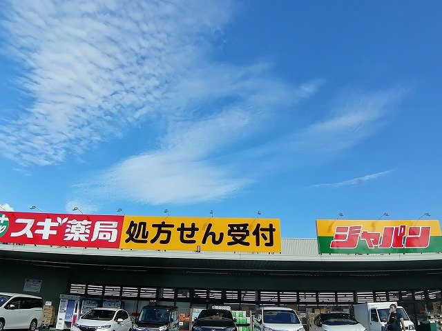 レオネクストルシェリアの周辺