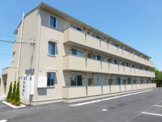 オルタシア カツラ