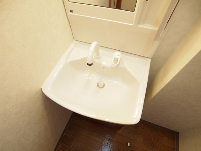 チェリーコーポの洗面所