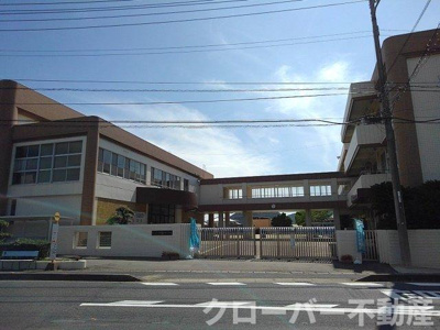 【周辺】 | ＦＡＩＲＹ・ＳＭＩＬＥ　Ｂ | まんのう町立四条小学校まで650m