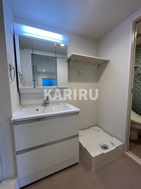 ハーモニーテラス林寺Ⅶの洗面所