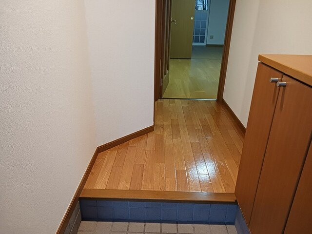 バードウィング・セルバ　Ｂのその他