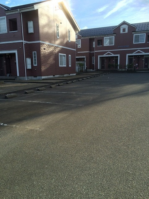 バードウィング・セルバ　Ｂのその他