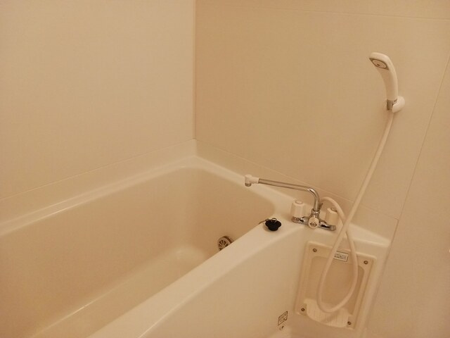 バードウィング・セルバ　Ｂのその他