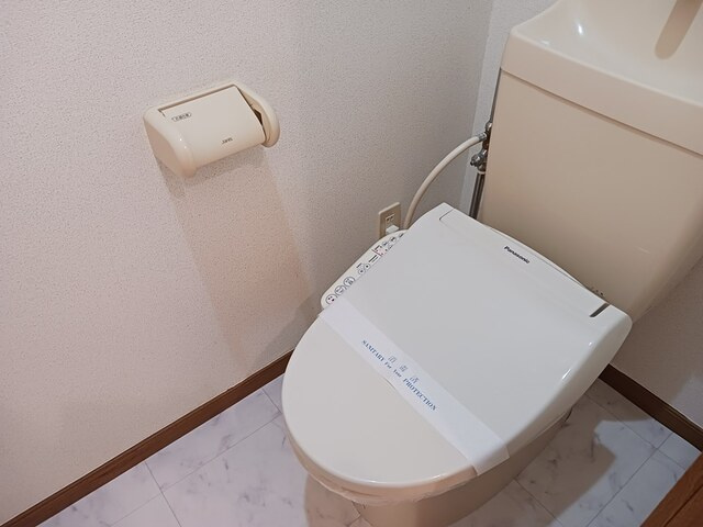 バードウィング・セルバ　Ｂのその他