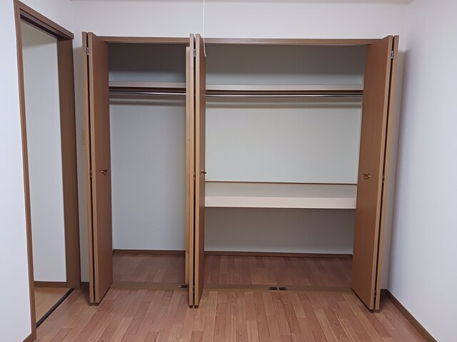 バードウィング・セルバ　Ｂのその他