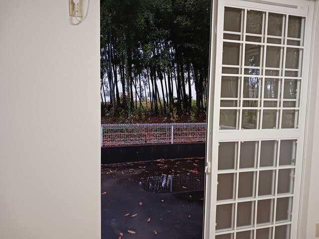 バードウィング・セルバ　Ｂのその他