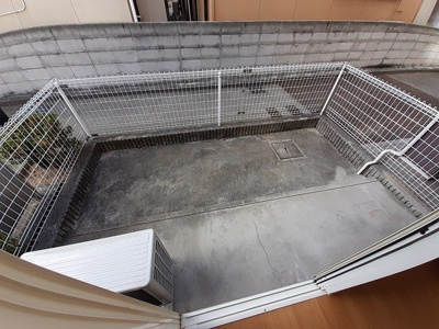 【庭】 | フリューリンク