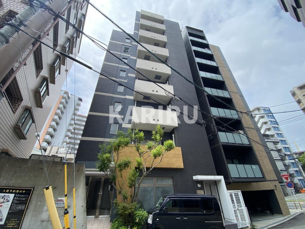 ﾌﾟﾗｲﾏﾘｨK