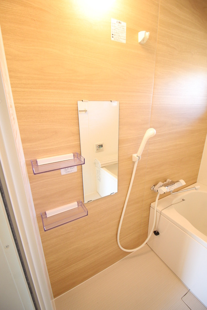 ルミエールFの浴室