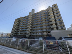 ステイツ野村向洋の画像