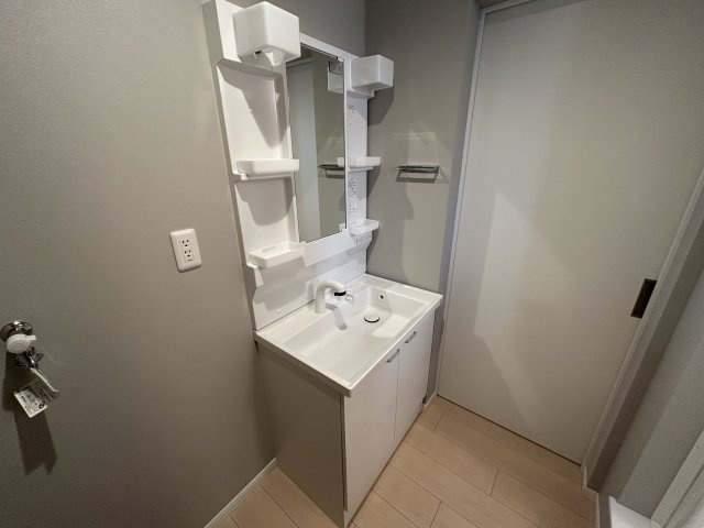 メゾンドFの洗面所