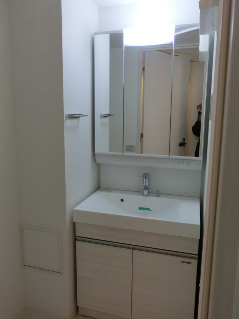 大阪市中央区南船場１丁目の賃貸マンションの洗面所