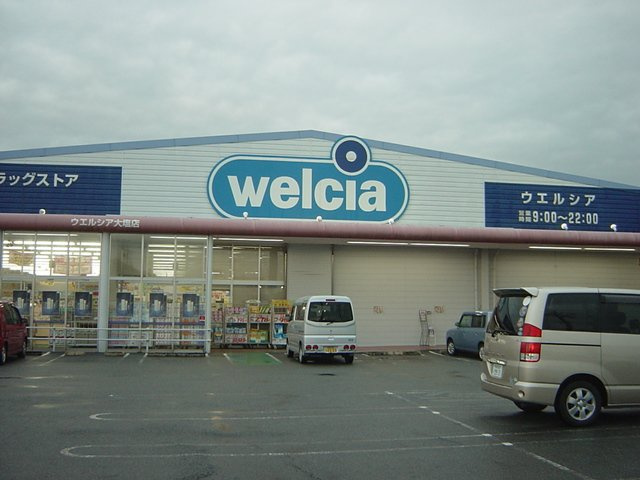 ルミエールの周辺|ウエルシアまで700ｍ