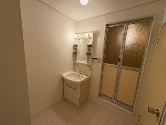 エクセル富貴ノ台の洗面所