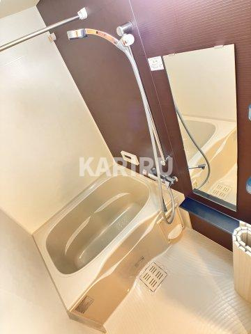 プレサンス堺筋本町駅前の浴室