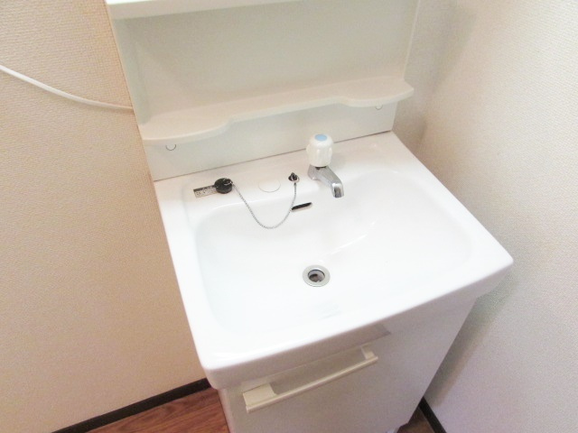 ハイツ椿園2の洗面所|ゆったりとスペースのある洗面所