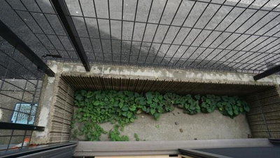 【バルコニー】 | パインクレスト中台