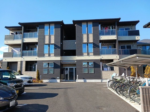 チューリップ　ツリー