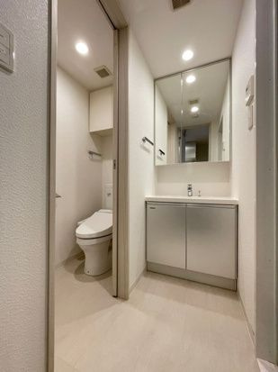 DIPS十条仲原EASTのトイレ